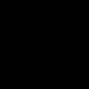 Meet your Posher, Winter